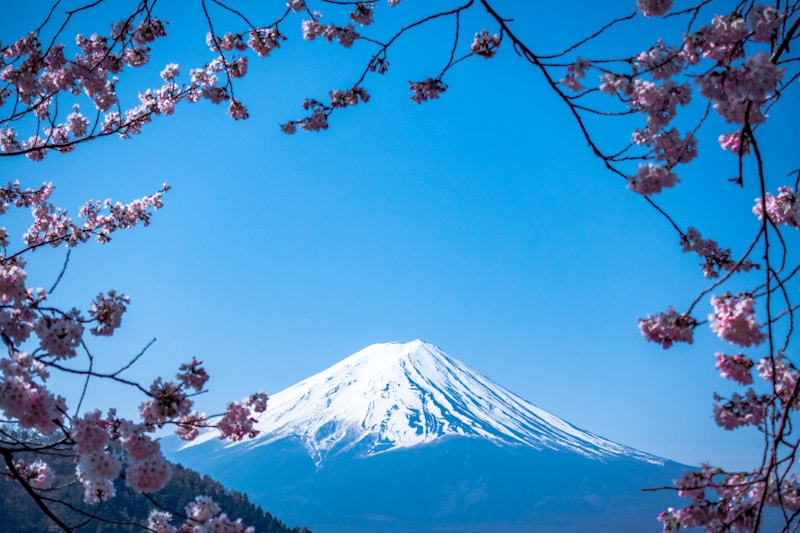 Jepang Muslim Friendly 7 Hari